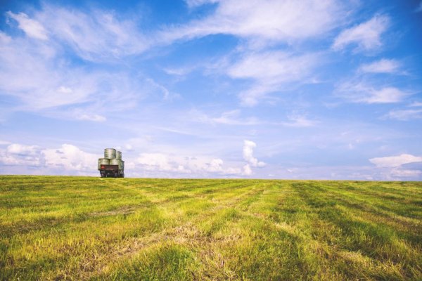 Сайты по продаже наркотиков